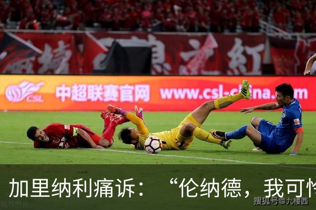加里纳利痛诉：“伦纳德，我可怜的职业生涯啊！